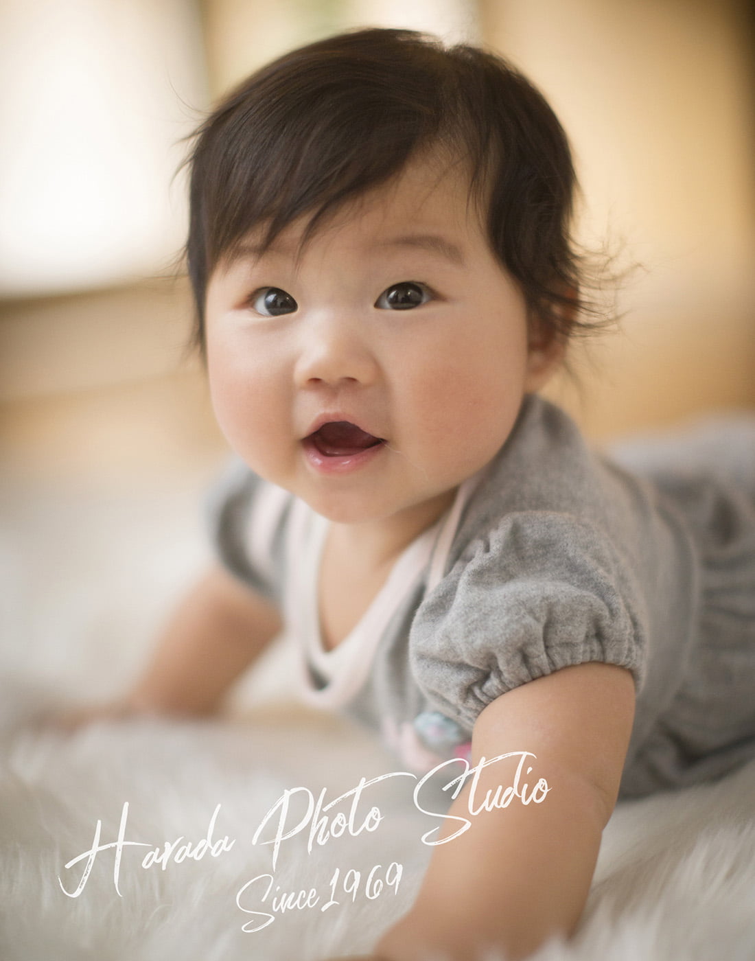 お誕生記念写真撮影｜福岡市東区原田写真館(香椎参道）